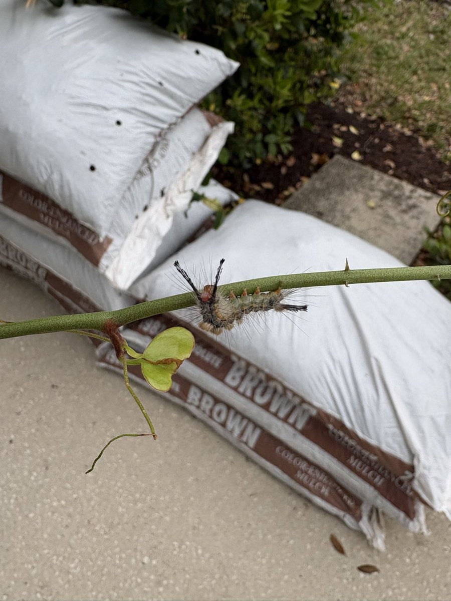 Travis Akers 🇺🇸 tweet media