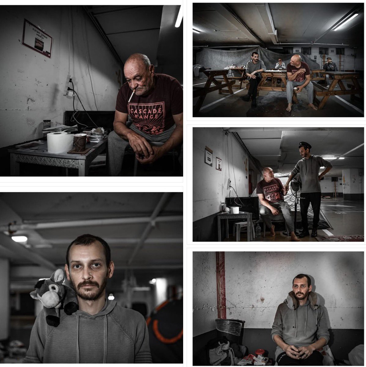 ShAuLi ✊🏼🔥🏳️‍🌈 tweet media