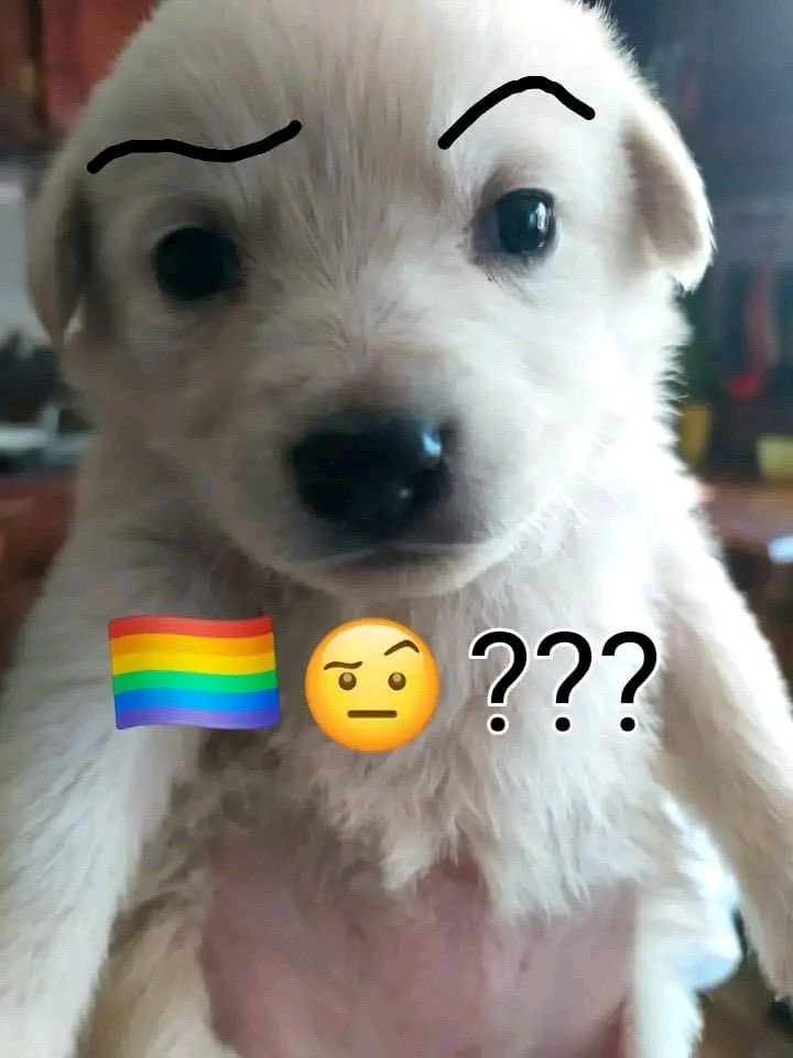 Ismangerfist. tweet media