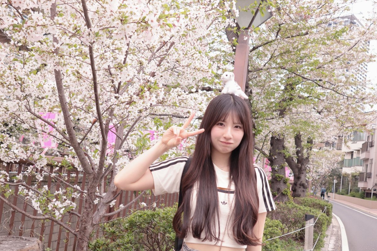 星乃由宇🐰ྀི🪐 Yu Hoshino tweet media