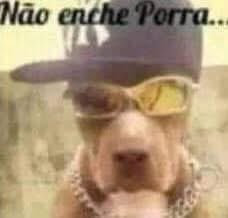 vin1 🇾🇪 tweet media