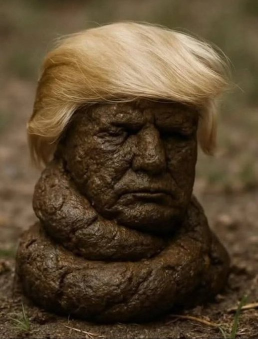 Mr. Nobody tweet media