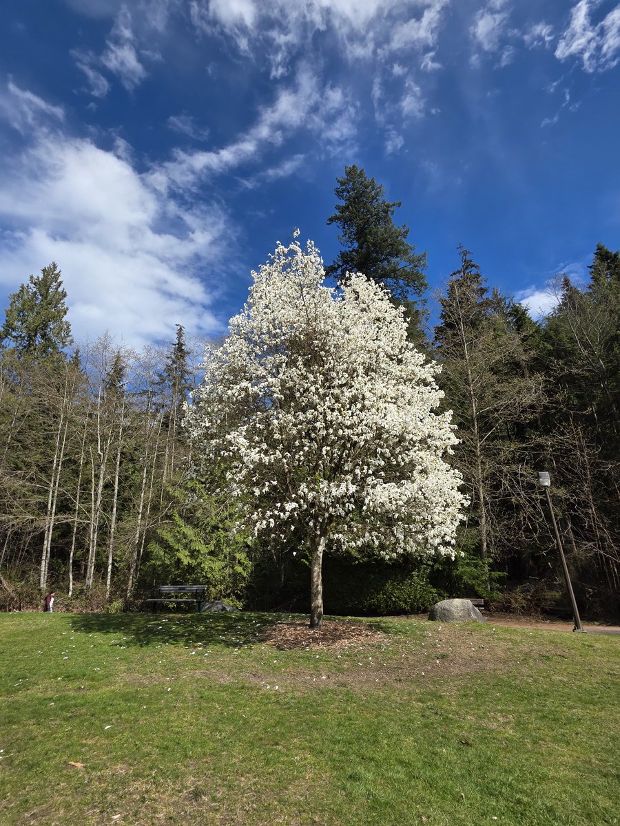 Joyceee 🇨🇦 🌹🌸 tweet media