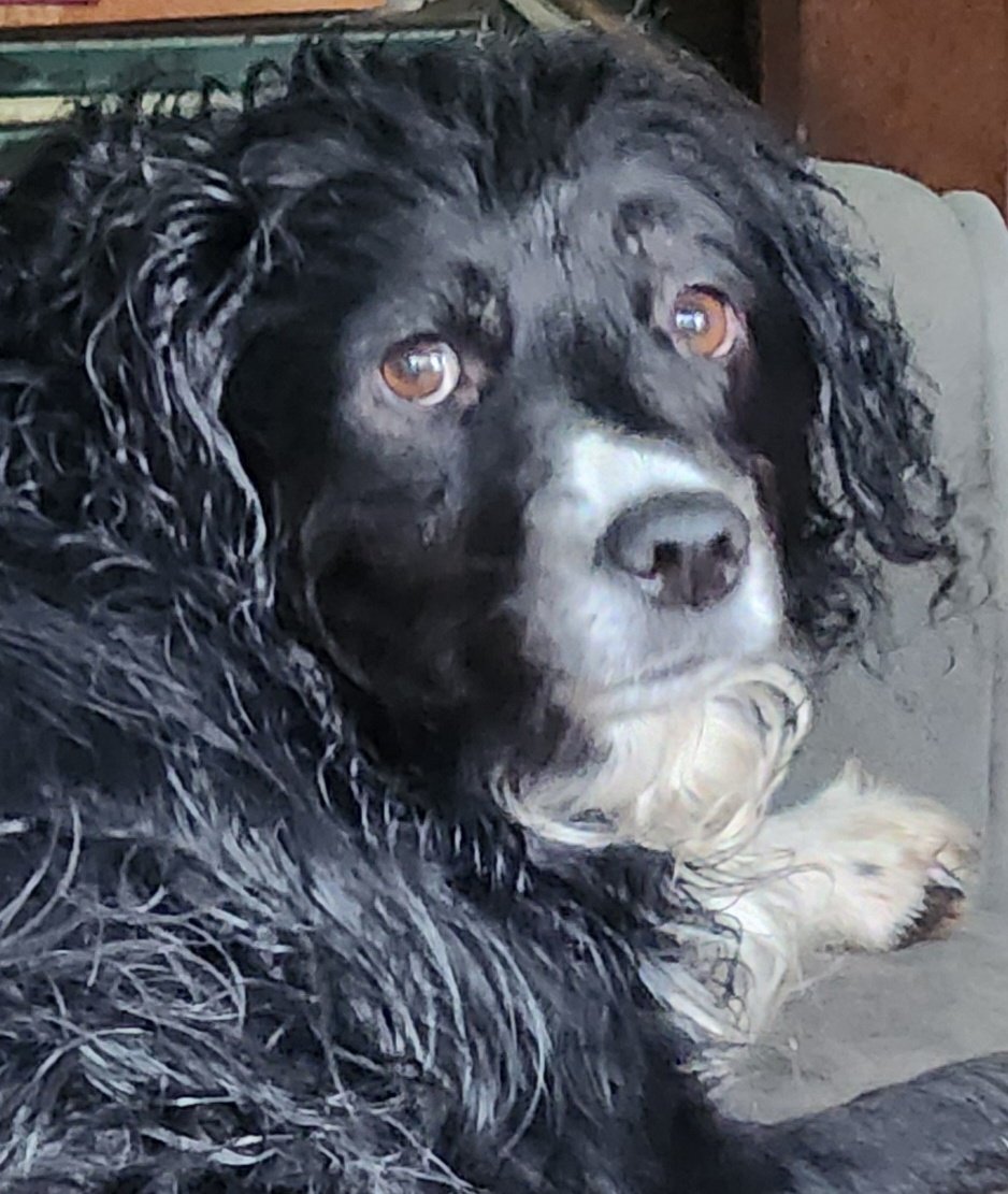 LadyBoss253 tweet media