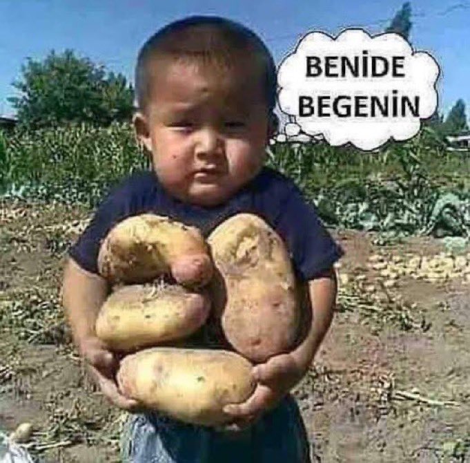 sadece s💔 tweet media