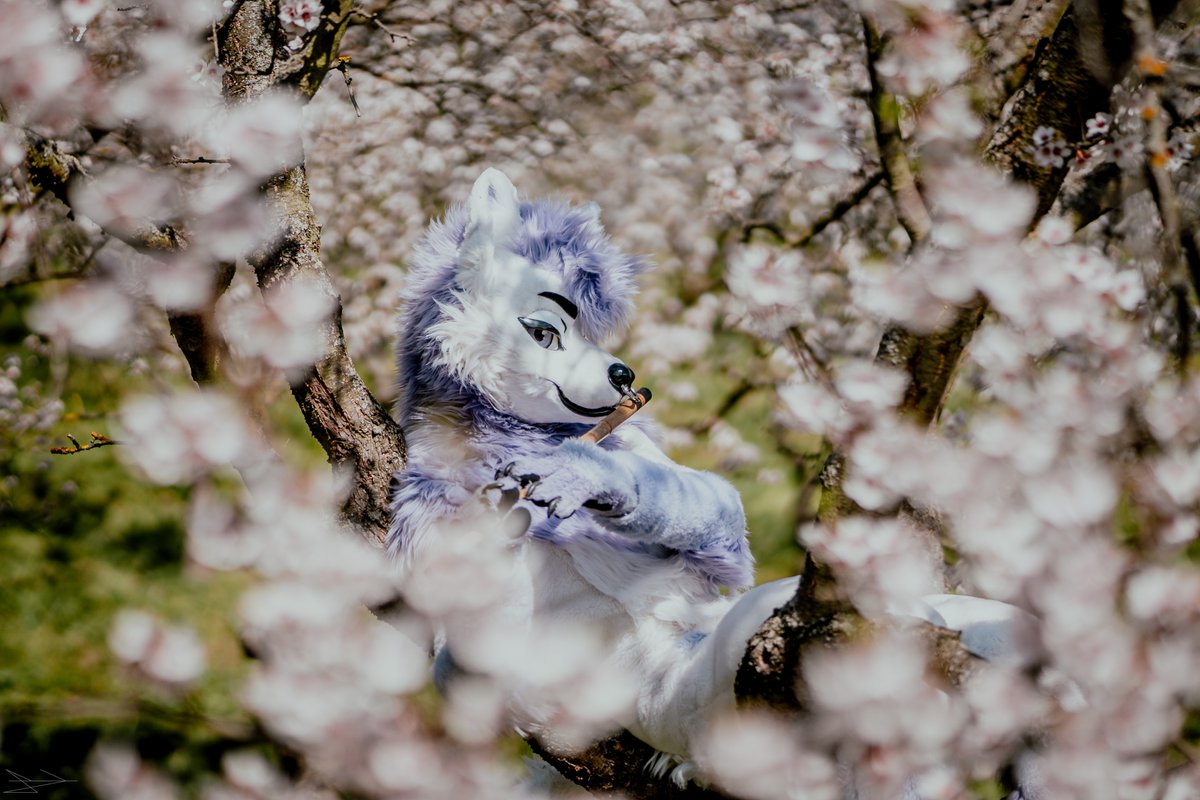 Lick's Photo tweet media