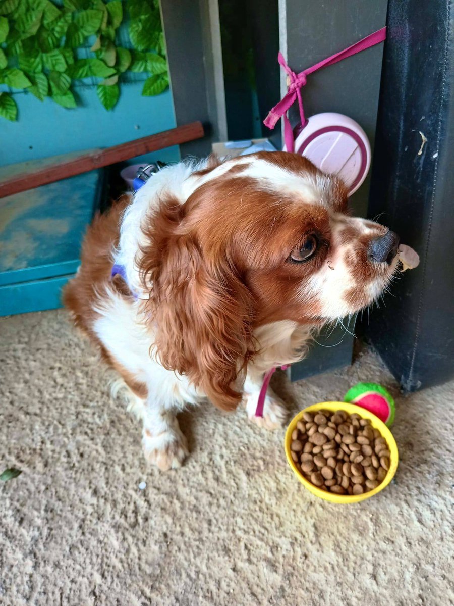 Zülal Kutluer tweet media