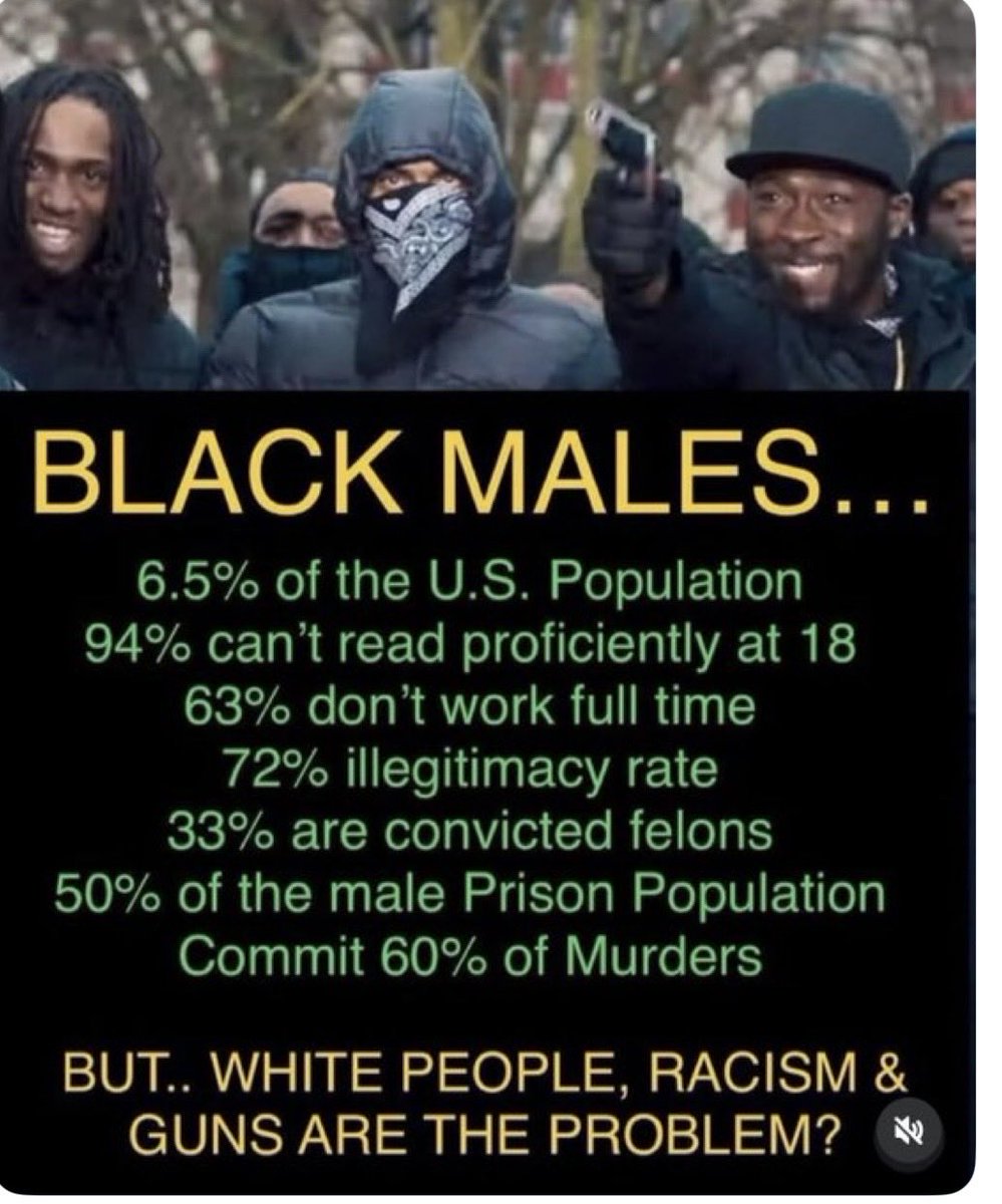 Walt Stone tweet media