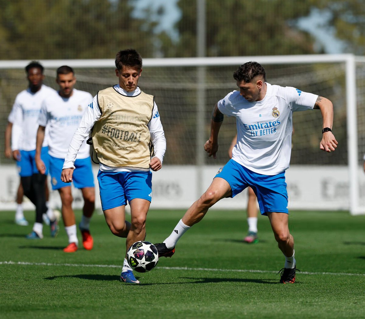 A🇪🇸. tweet media