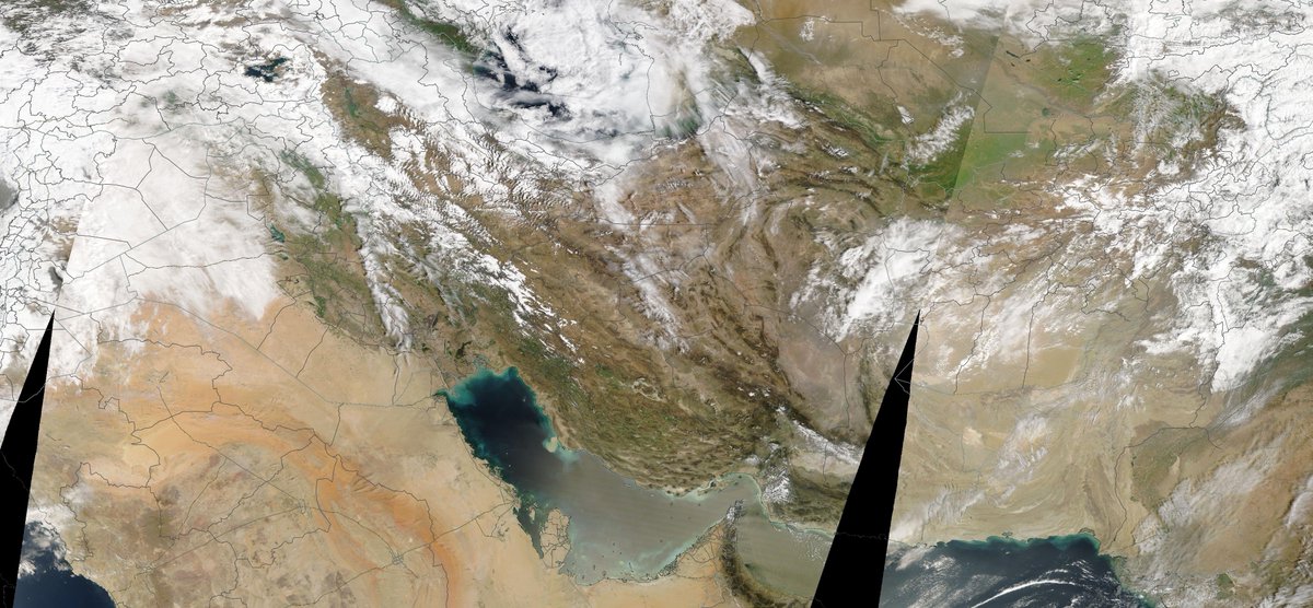 Нaѕһеm tweet media