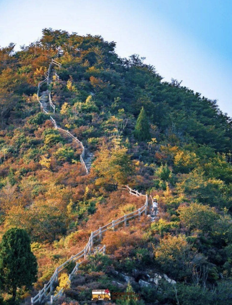 Marie-Josée Lavoie tweet media