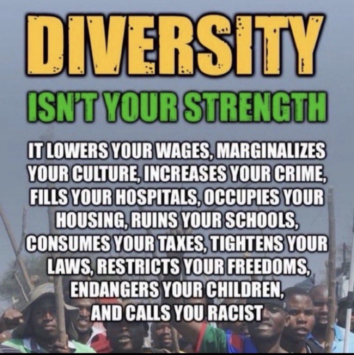 🇺🇸 Red Blooded Mom 🇺🇸 tweet media