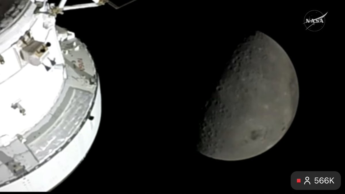 stankRat tweet media