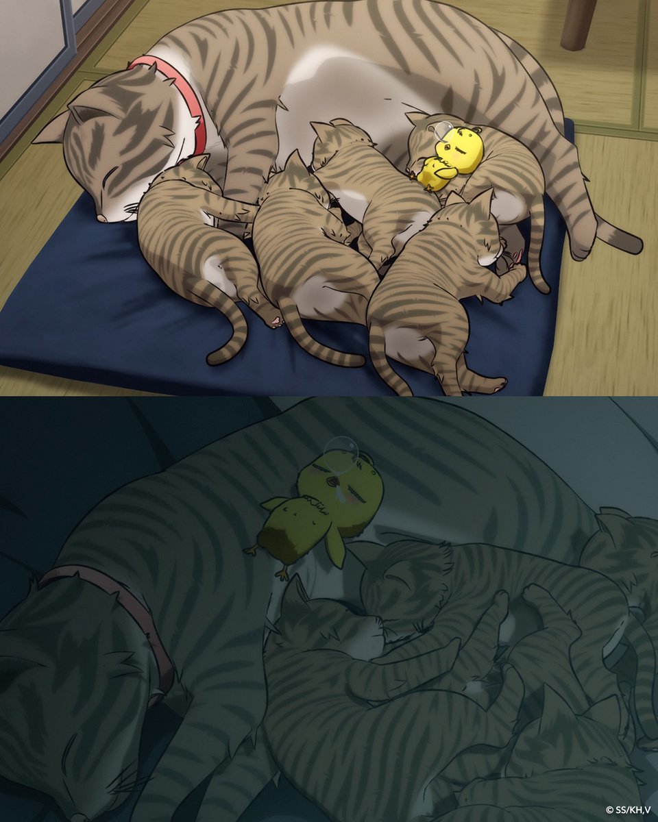 Rooster Fighter tweet media