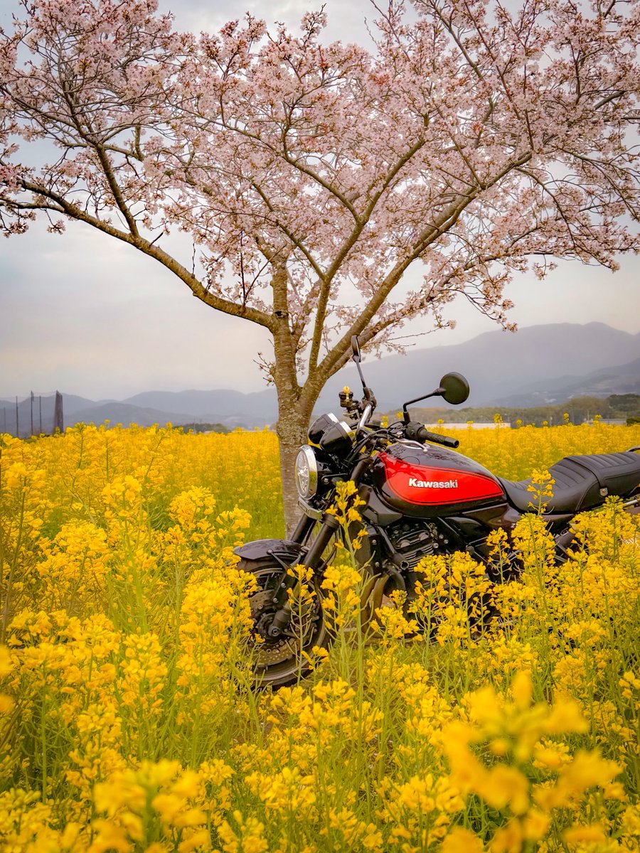 どりるまん△ tweet media