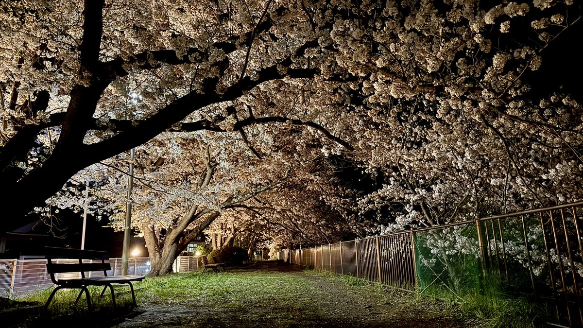 あつはる tweet media