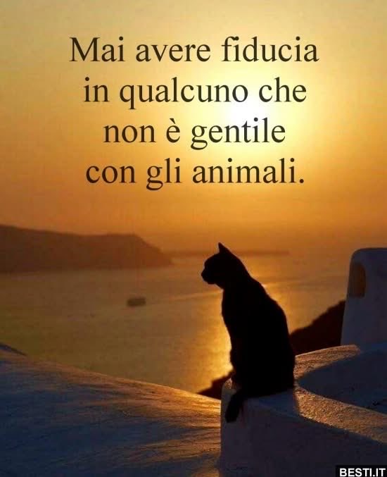 anna maria moscarell tweet media