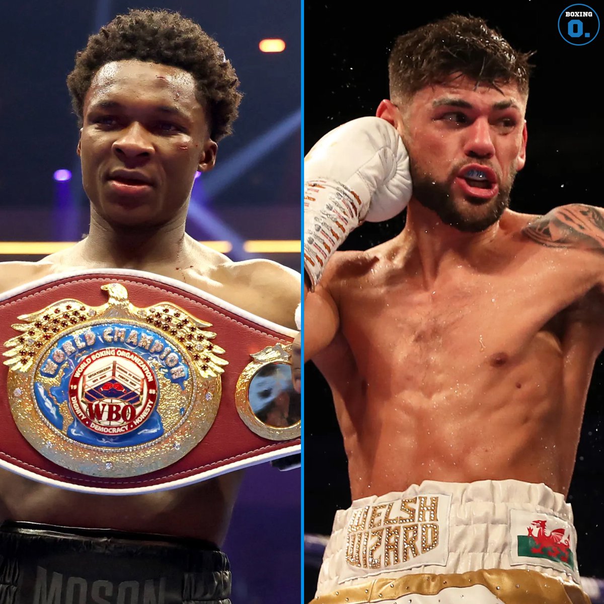 Boxing Orbit tweet media