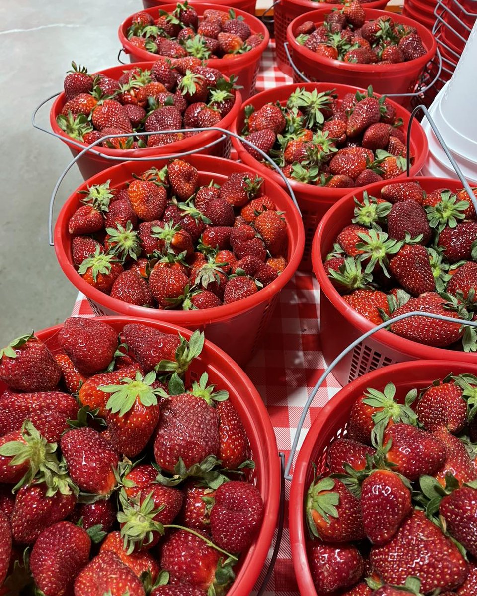 Visit North Alabama tweet media