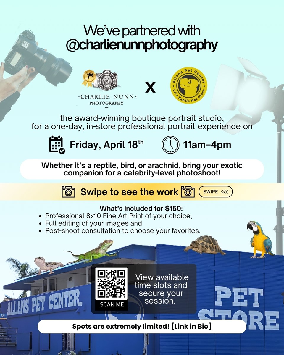 AllansPet's tweet image. 📸 We’ve partnered with Charlie Nunn Photography for an exotic pet photoshoot at Allan’s West LA on April 18 (11–4)! Bring your reptile, bird, or arachnid for a pro mini session + edited photos

👉 calendly.com/cnphoto/april1…

#allanspetcenter #petphotoshoot #losangeles