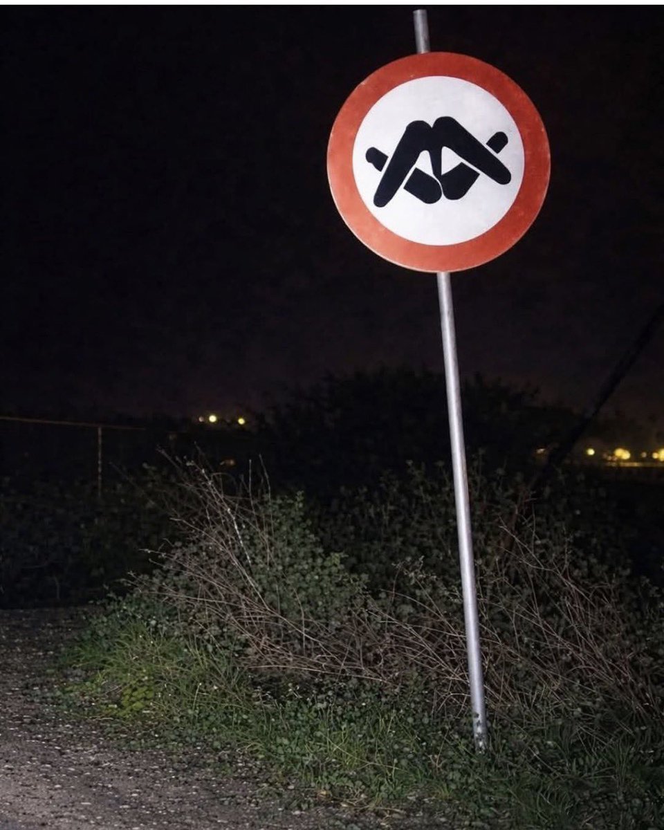 𝙺𝙲 𝙺𝚊𝚝𝚎🦋 tweet media