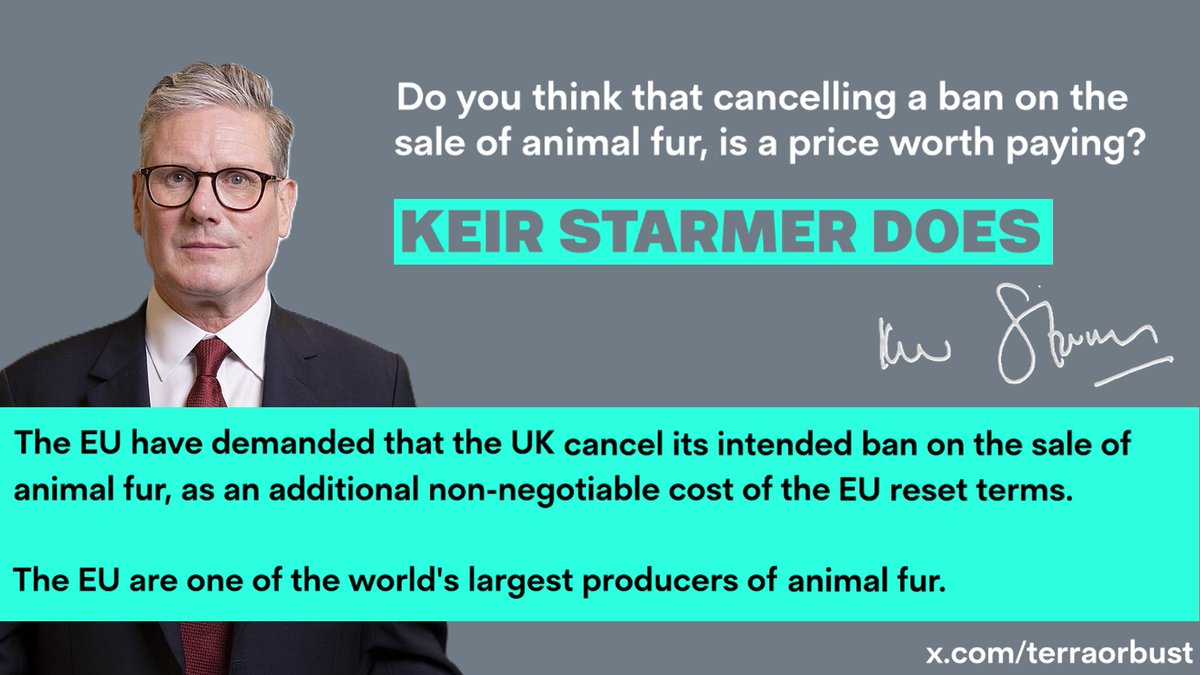 Gully Foyle #UKTrade tweet media