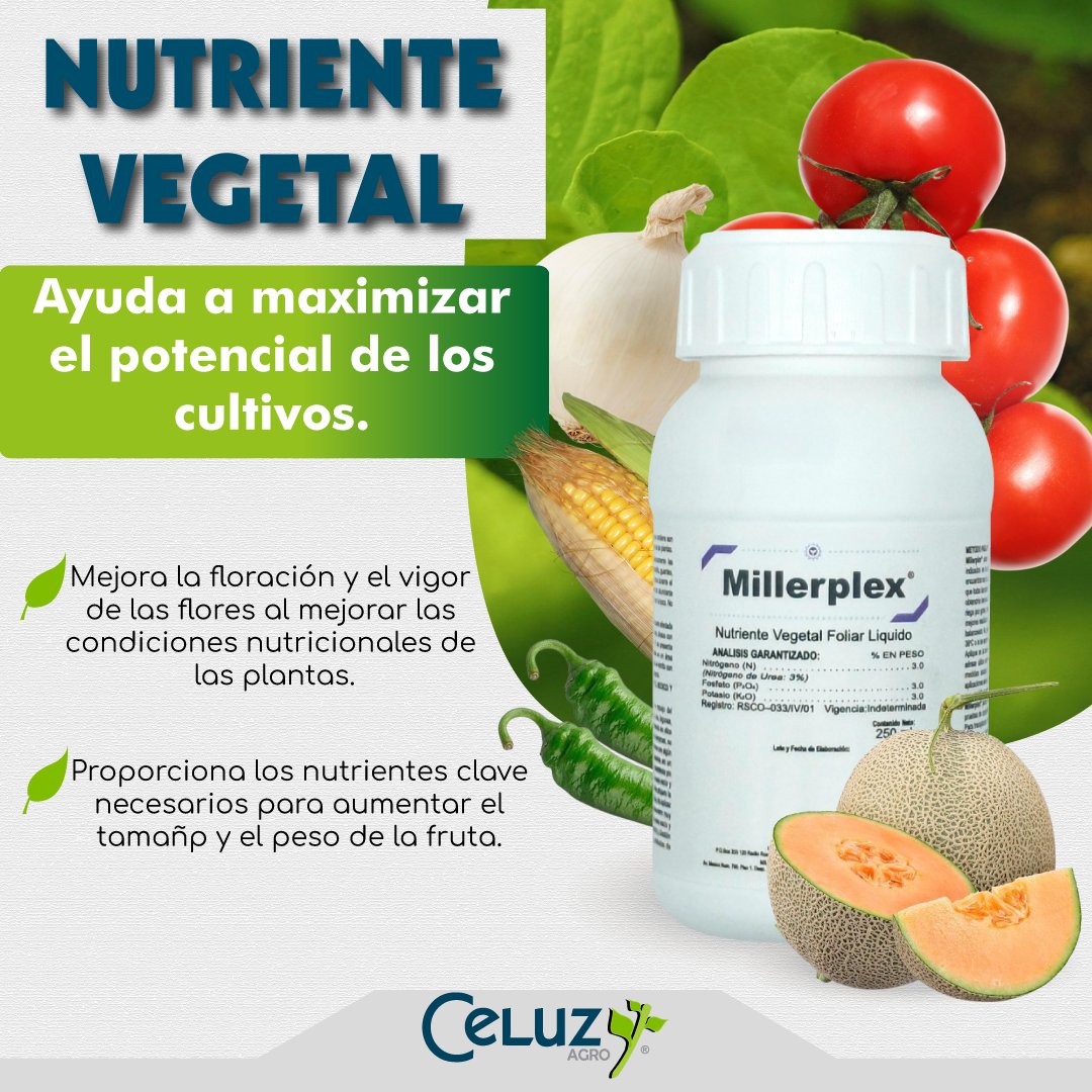 CeluzAgro's tweet photo. Millerplex es una fórmula fertilizante nutricional equilibrada basada en Kelp diseñada para el suelo o el uso foliar en los cultivos.
Más Productos:➡️https://t.co/OSmqWMVR60

.
.
.
#celuzagro #nutrientesparaelcampo #insecticidas #Coadyuvantes https://t.co/oVZ7wn9wvr