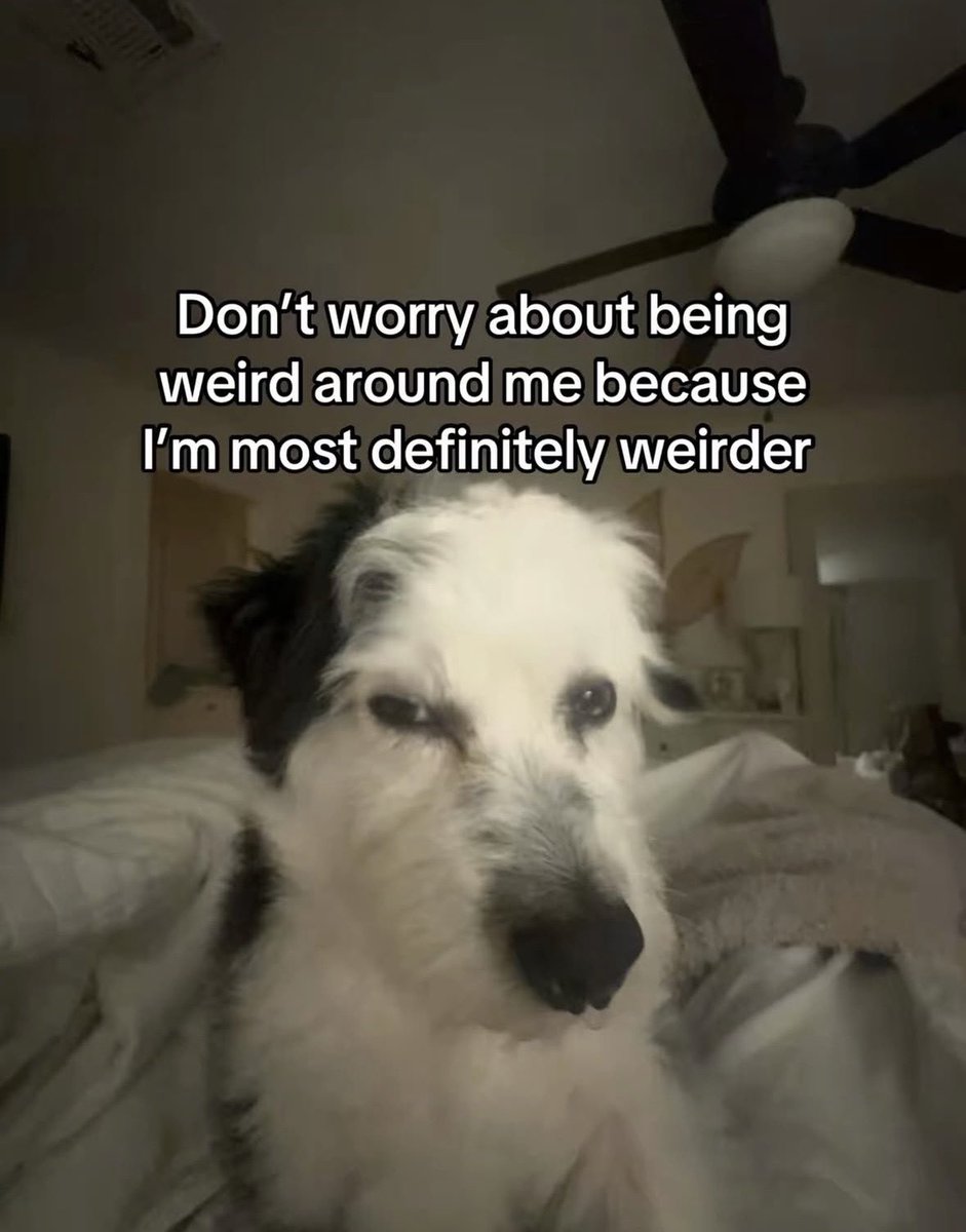 raccoon aesthetic. tweet media