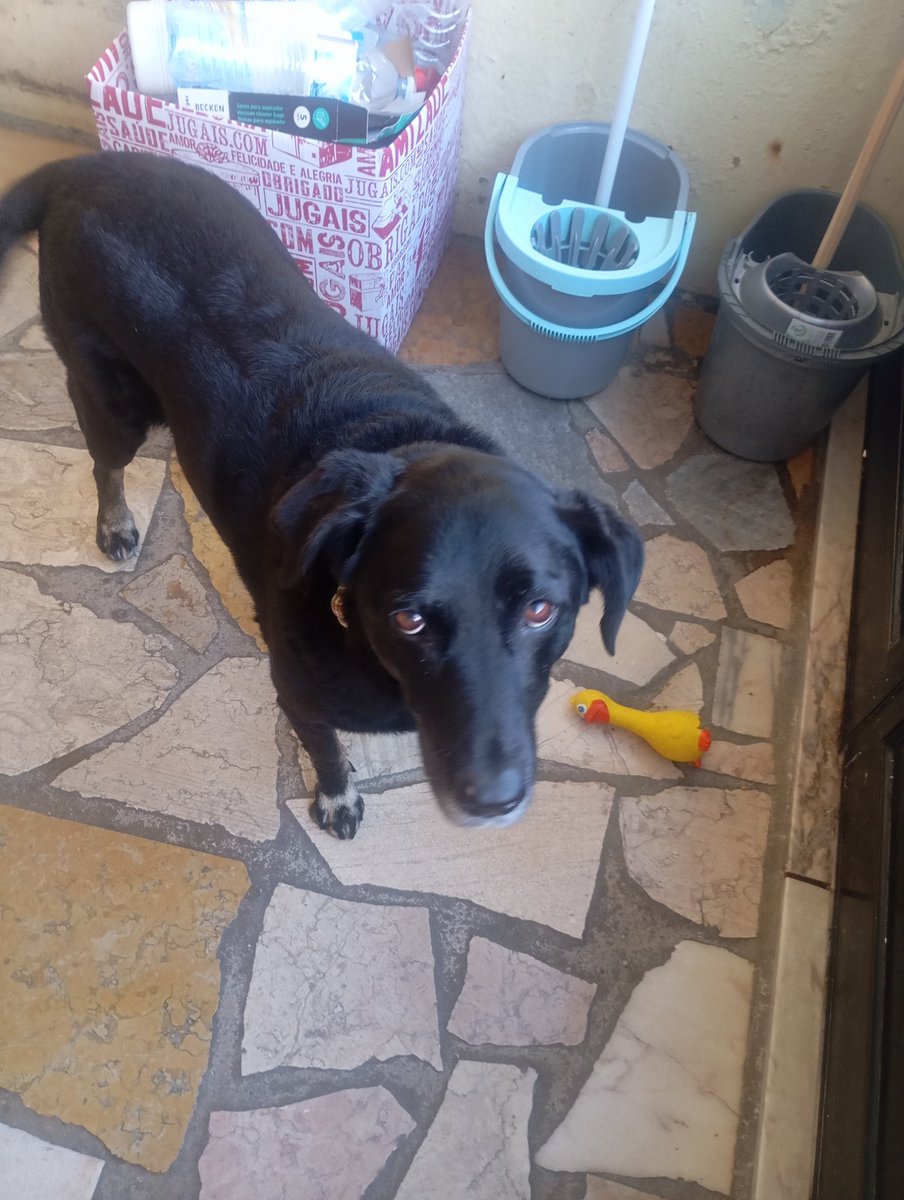 Tomás🫶🏻 tweet media