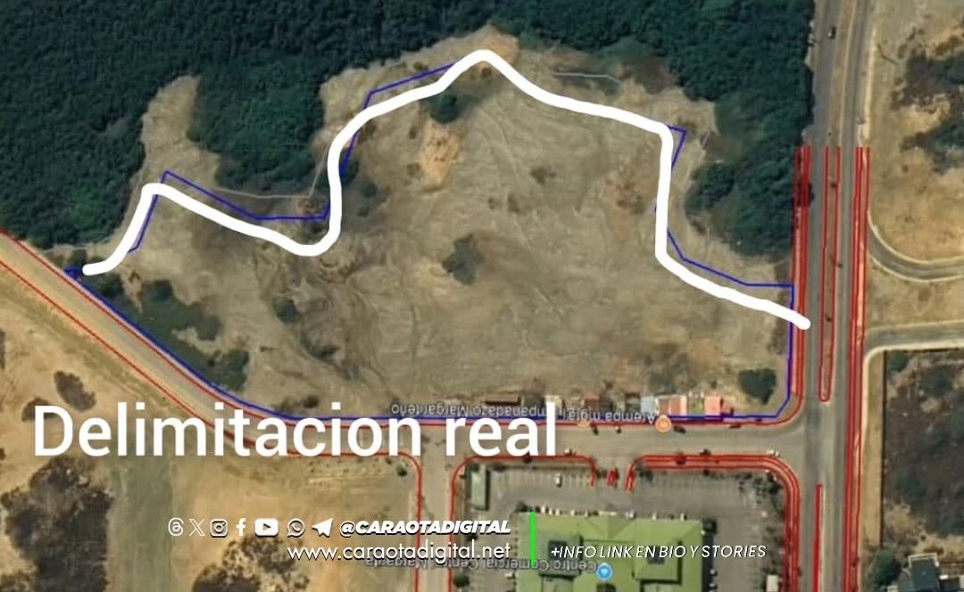 cosas de paleofrikis tweet media