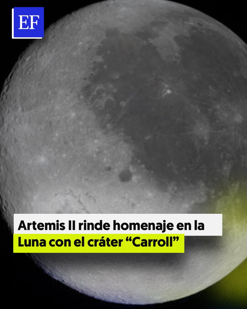 El Financiero tweet media