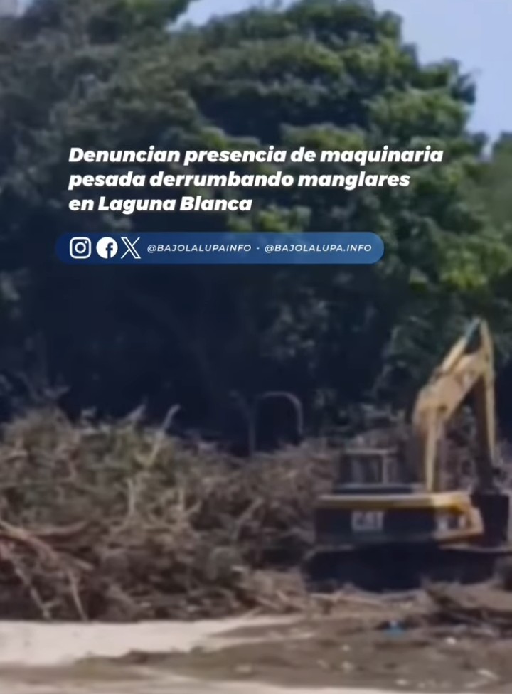cosas de paleofrikis tweet media