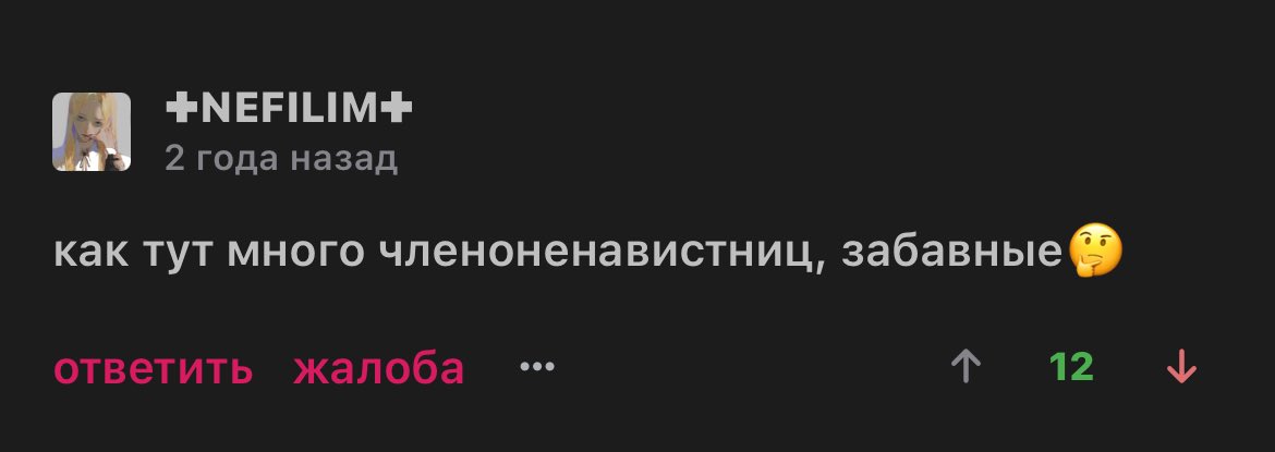 Вампирша Энн 🧛🏻♀️ tweet media