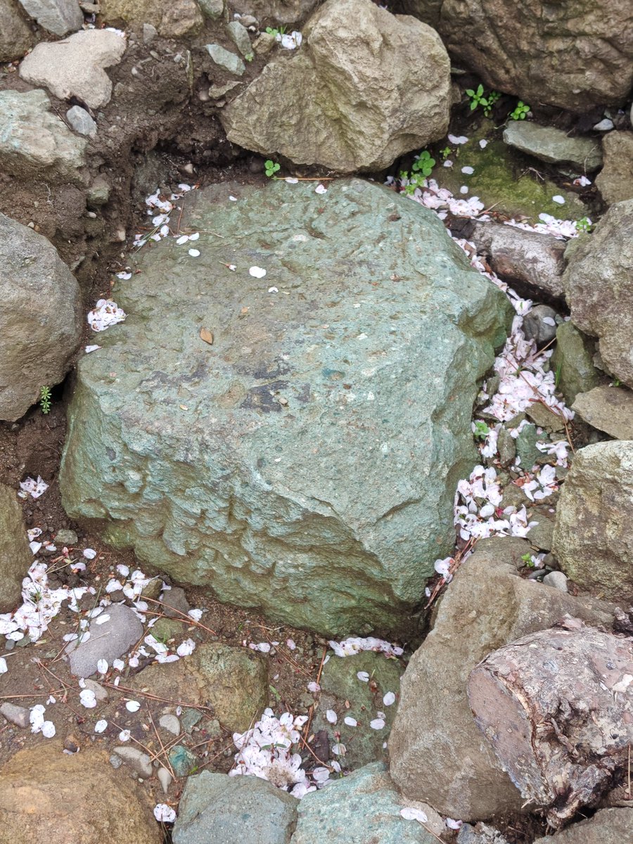 るり＠真田兵 tweet media