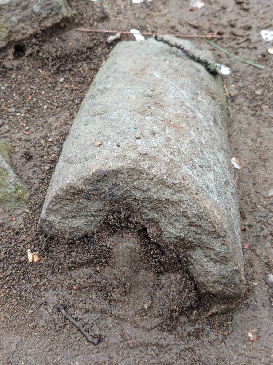 るり＠真田兵 tweet media