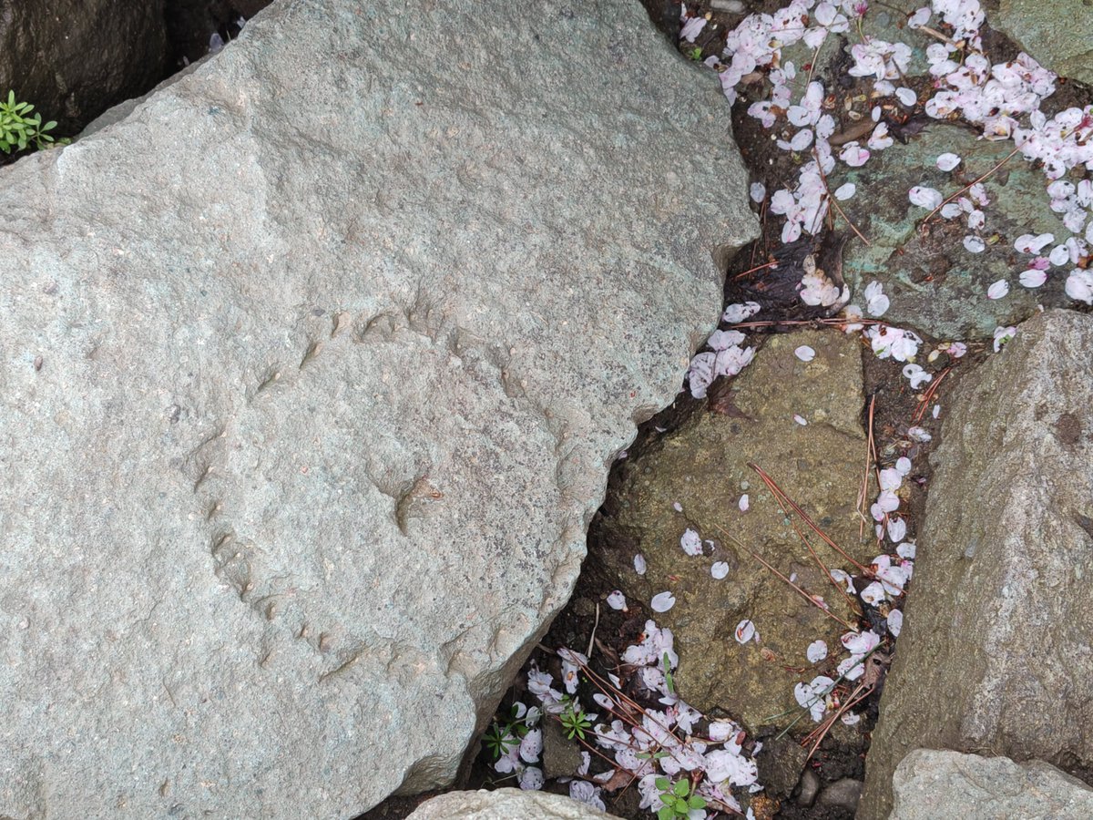 るり＠真田兵 tweet media