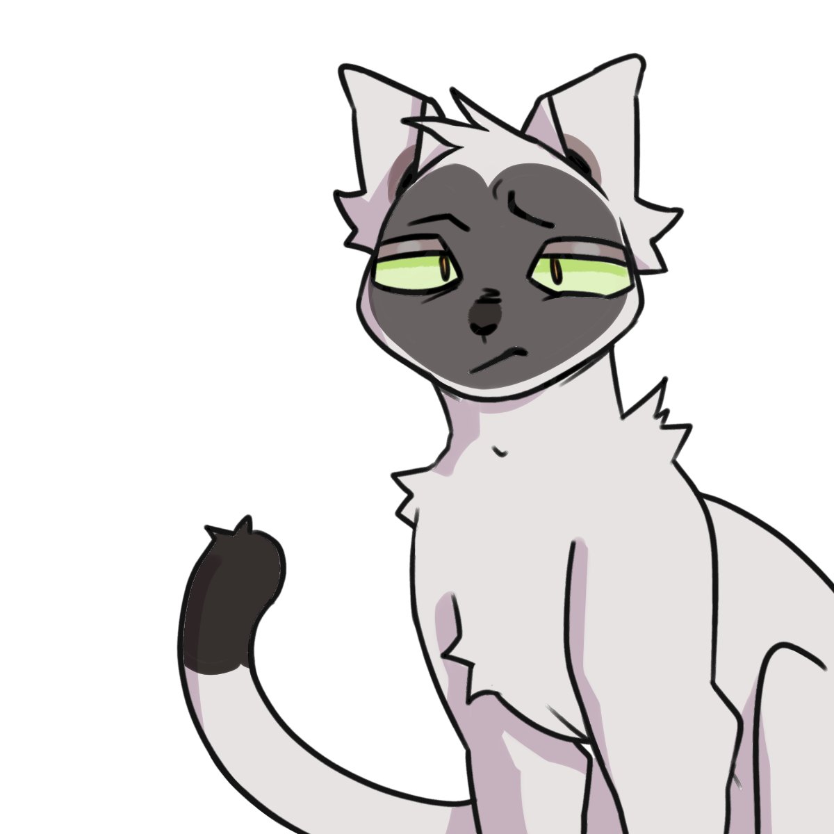 katzen 🍂 COMMS OPEN tweet media