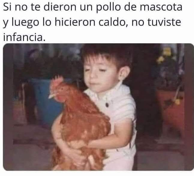 Más Ciencia tweet media