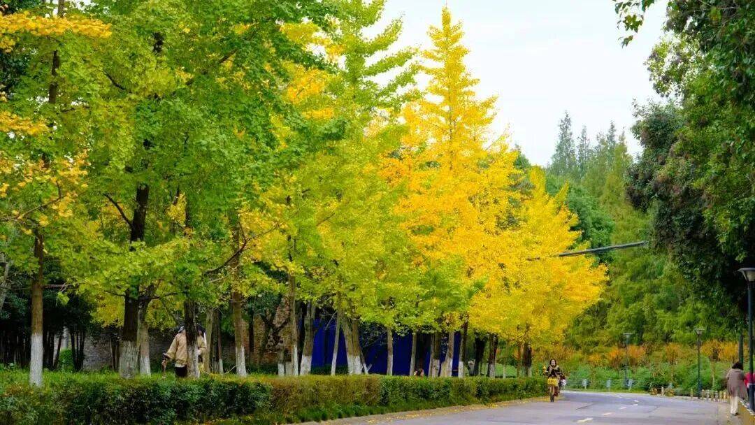 usagi uchiha tweet media