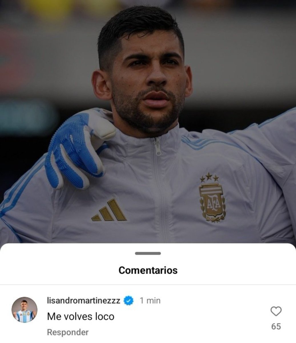 Loanely ✨ tweet media