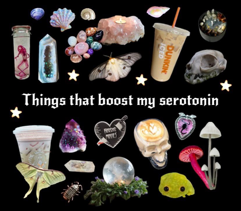 𝑙𝑖𝑡𝑡𝑙𝑒 𝑚𝑜𝑜𝑛 ⏾ tweet media