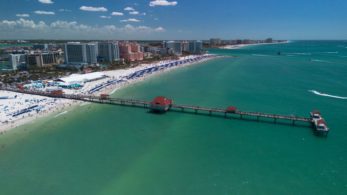 Will Vogt tweet media