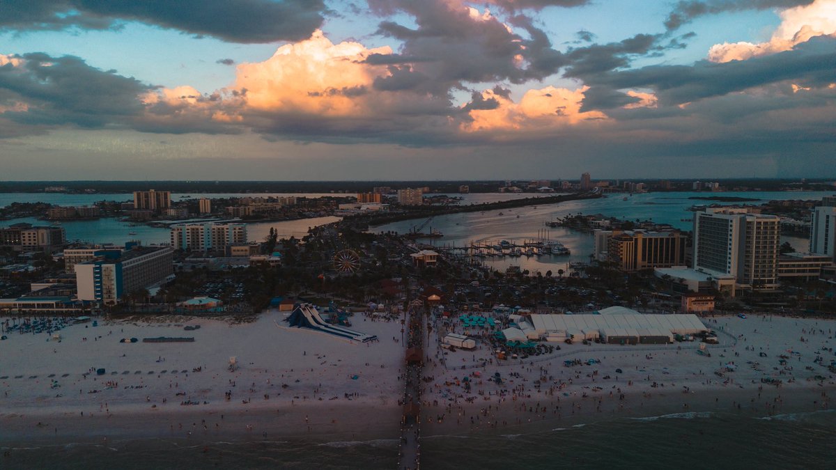 Will Vogt tweet media