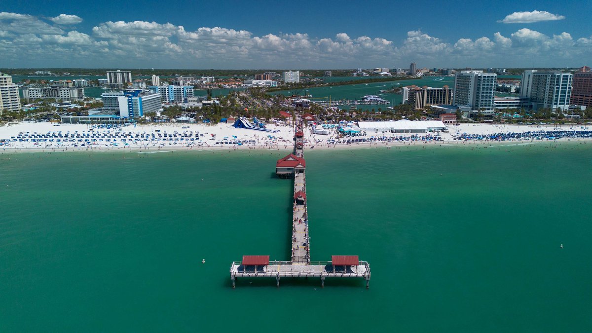 Will Vogt tweet media