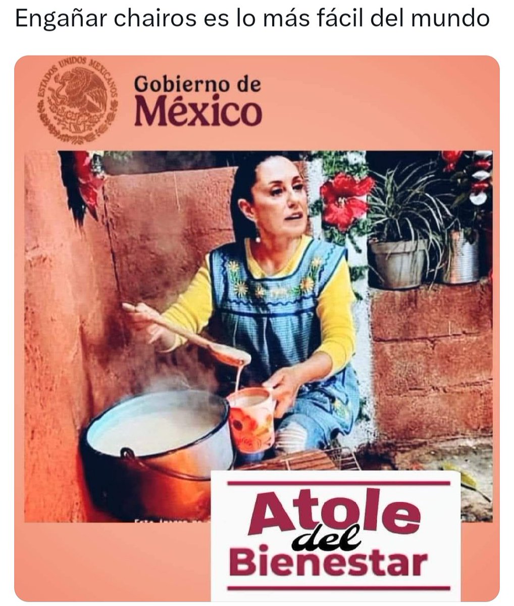 Pollo Rosales tweet media