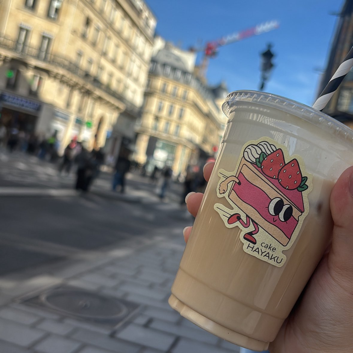 𝘩𝑎𝑛𝑎 🐰 tweet media