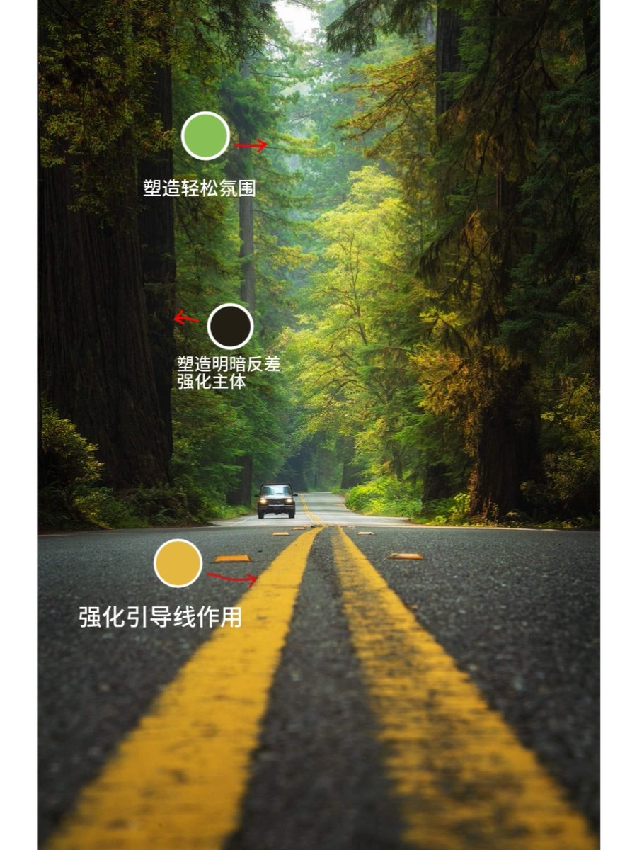 Liz Elliott tweet media