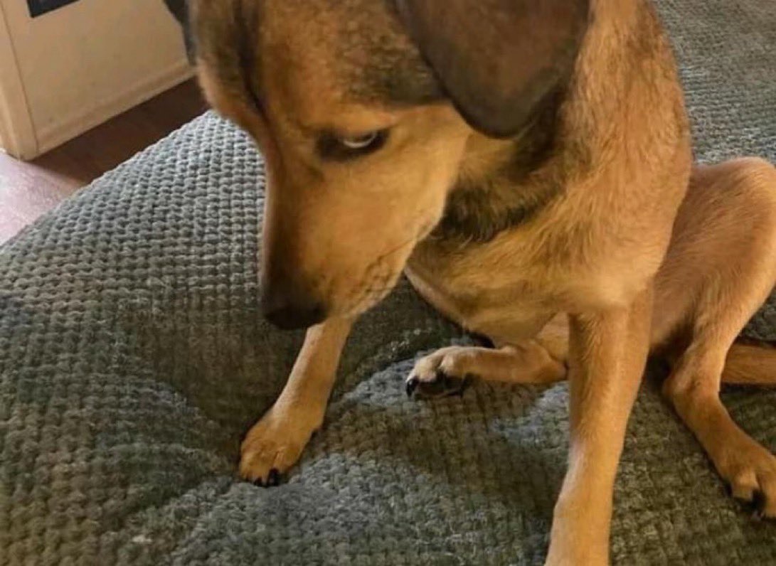 Dose ✞ tweet media