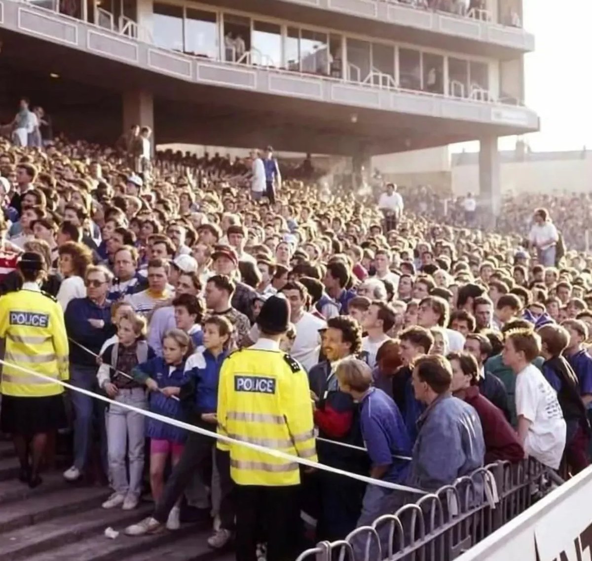 The Casuals Directory tweet media