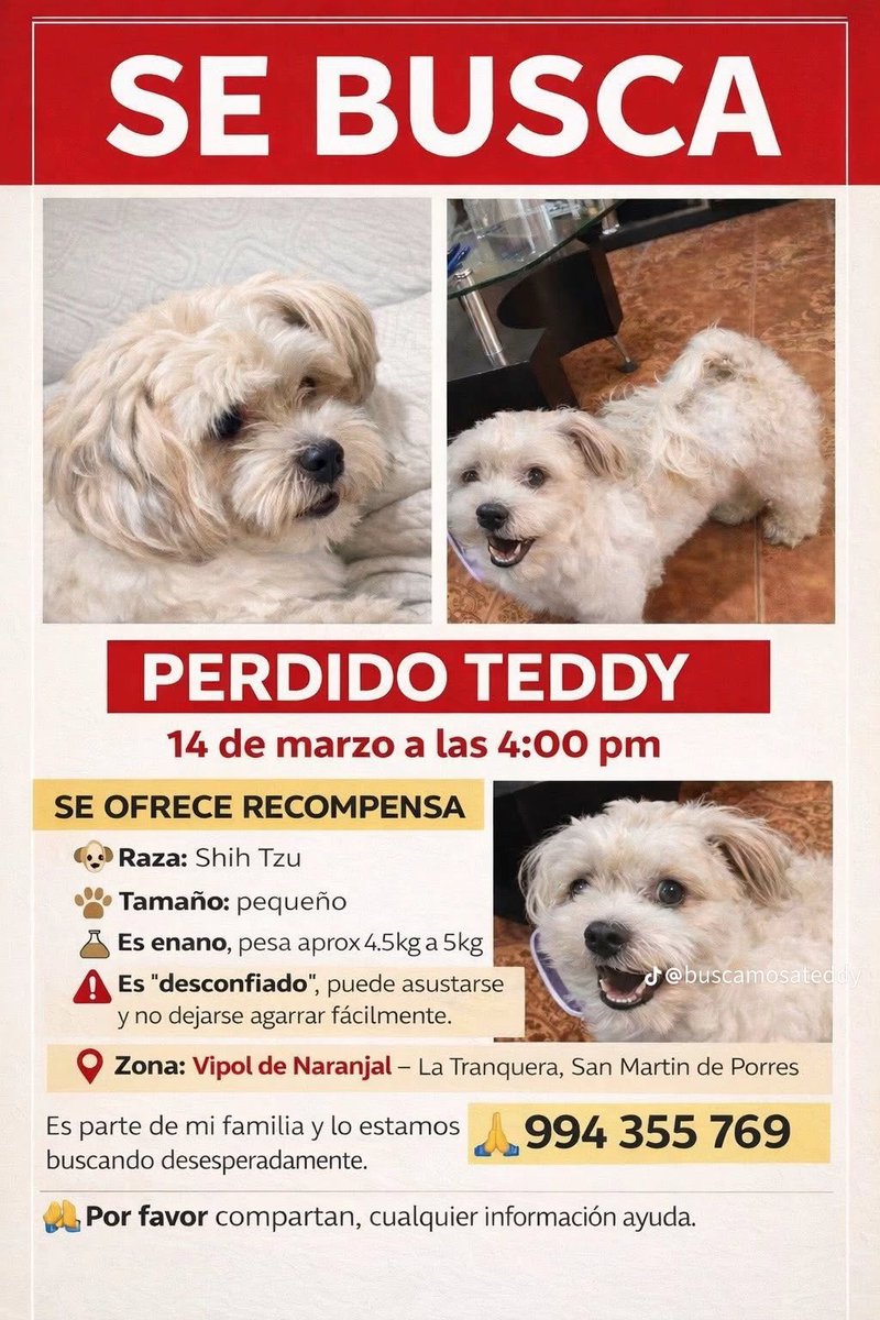 Dane Gámez tweet media